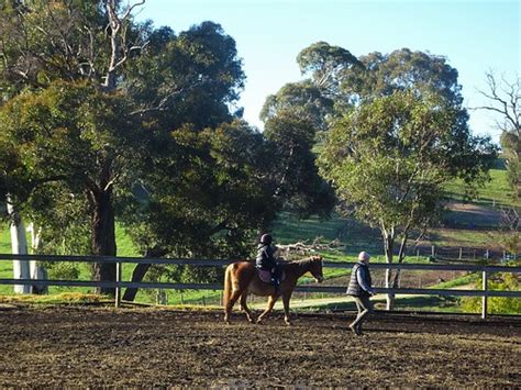 adelaide hills horse riding.